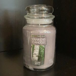 Silver Birch Yankee Candle: Brand-New!